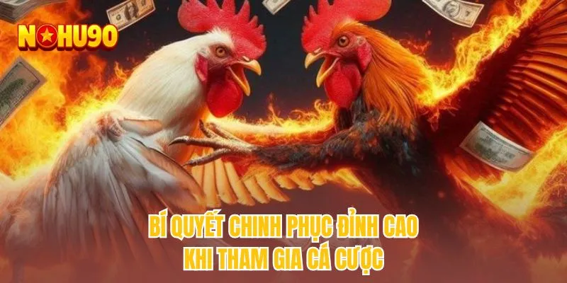 Bí quyết chinh phục đỉnh cao khi tham gia cá cược