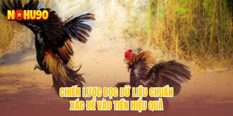 Chiến lược đọc dữ liệu chuẩn xác để vào tiền hiệu quả