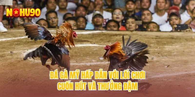 Đá gà Mỹ hấp dẫn với lối chơi cuốn hút và thưởng đậm